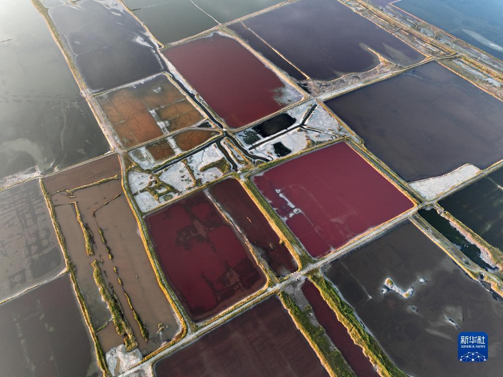 凤凰游戏商城下载